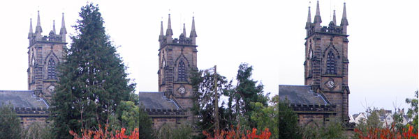 Felling of lawson's cypress - Trinity Theatre and Arts Centre in the background - 26.10.07