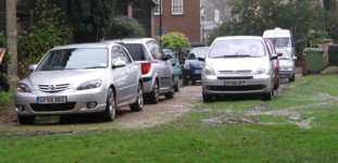 RTW Town Centre Open Space - Protection of Trinity's lawn
