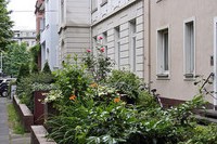 Urban Front Gardens