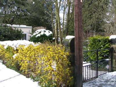 land opposite 8 York Road and garden of 10 York Road