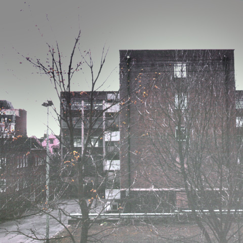 York Road, Tunbridge Wells -  from the balcony of No. 42 York Road into the trees