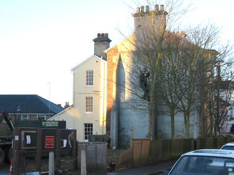 cala homes - wooldridge demolition - trees felling