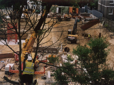 last remaining trees are chopped - view from opposite houses in York Road
