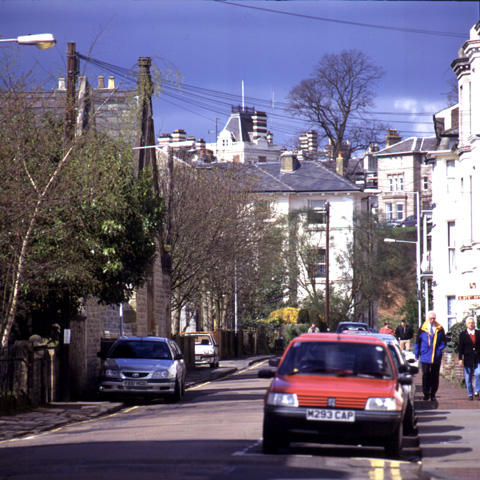 York Road in Spring 2001 - trees
