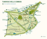 Tunbridge Wells Common - www.friendsofthecommons.org.uk