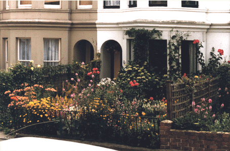 Summer - front gardens in York Road