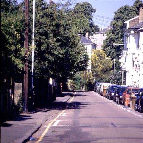 York Road in the summer - view from Mount Pleasant towards London Road - the trees: magnolia, cherry, laburnum, mountain ashes, cherry, beech, laurel, walnuts, maples, whitebeams, broom