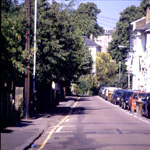 summer in York Road, Royal Tunbridge Wells - the many trees - click for enlargement